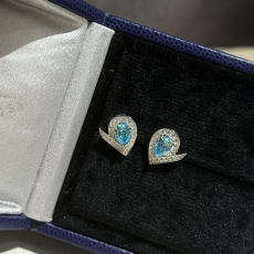 Chaumet Earrings